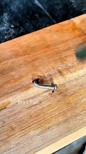 use this method, if nails cannot penetrate the hardwood #woodworking #skill #carpenter #creative | Nay L Pari