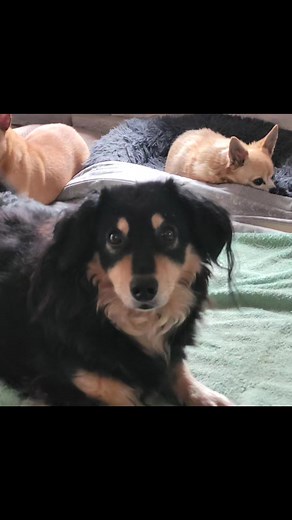 Zbigniew F. Wideński on Reels