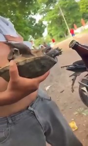 TABASQUEÑO QUE SE RESPETA | Ignacio Flores Hernandez