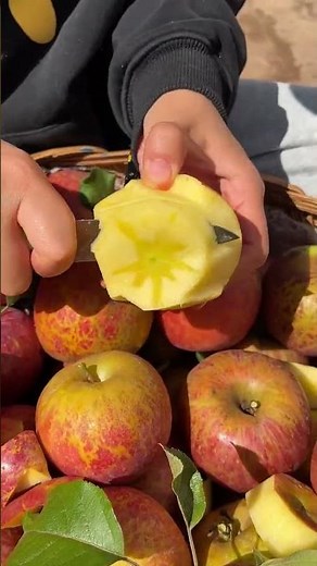 Live stream specials! Ugly apples are!! #SweetApples #UglyApples #SugarFleshApples #DirectFromOrigin