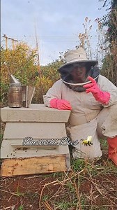 How about a concrete bee hive ? 🐝🐝🐝 #beekeeper #bees #beekeeping #honey #bushveldbees
