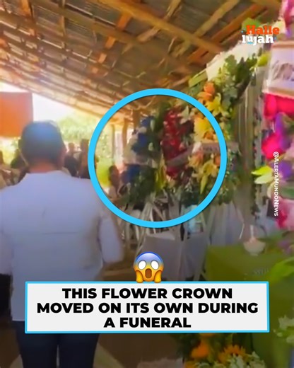 The family watched in shock as the decoration swayed on its own. | Hallelujah