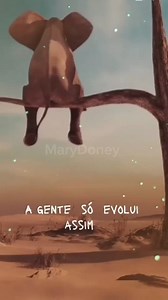 19 reactions | Nunca devemos desistir dos nossos sonhos, pois são...