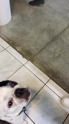 Association LISA on Reels