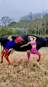 13K views · 349 reactions | पेन चोर on Reels | Facebook