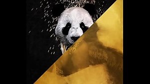 Desiigner vs. Future - Panda Mask aus (JLENS Edit)