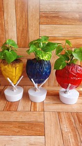 9.7K views · 90 reactions | Upcycle a Coconut Shell into a Beautiful Planter with This Easy DIY | Flower lovers | Facebook