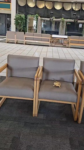 Sisu is a paid actress and was compensated for the production of this video. Enjoy🤣 #fhsu #sternbergmuseum #beardeddragon #august | Sternberg Museum of Natural History