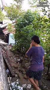 258K views · 8.3K reactions | Kuliah bareng mama fani  Nama latin Cnidoscolus Aconitifolius #daunpepayajepang | Stefani Manuputty | Facebook