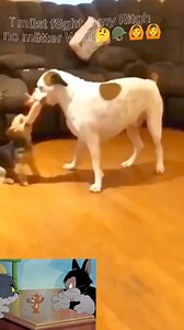 23K views · 58 reactions |  | Rising Sun History | Facebook