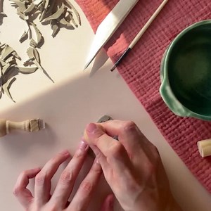 Great Star Coral Texture Ceramic Stamp for Pottery Decoration, Coastal Coral Stamp Tool for Polymer Clay, Orbicella Annularis Coral Reef - Etsy