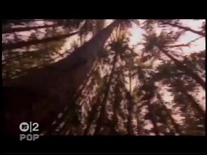 RMB - Experience /1995/