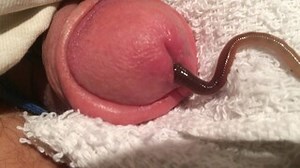 Crawling in | MOTHERLESS.COM ™