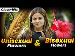 Unisexual & Bisexual Flowers Explained 🔥| Class 10 Biology | Krushi Mam