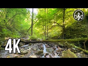 A beautiful mountain stream. Sounds of flowing water for study, relaxation and sleep.