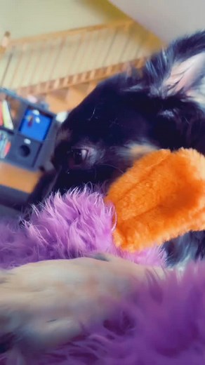 the way he eats that duck’s ass ☺️