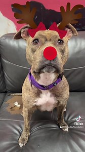 The Buddy Foundation on Reels