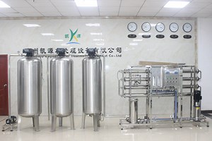 [Hot Item] 1000lph RO Water Purification System Stainless Steel