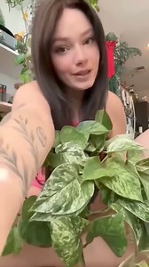 Transition Worship on Reels