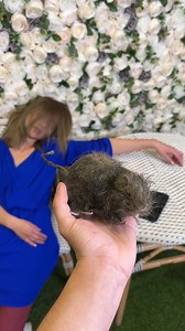 35K views · 167 reactions | Sleeping woman got prank! #Reels | Prompted Daily | Facebook