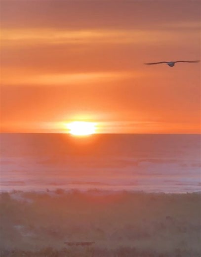 You gotta see it to believe it. | Visit Seaside, Oregon