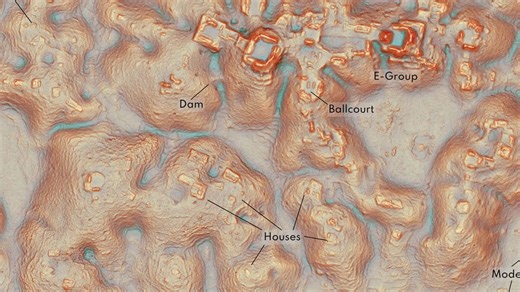 Student finds ancient Mayan city in dense jungle by ACCIDENT using Google