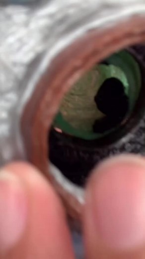 Colormebad on TikTok