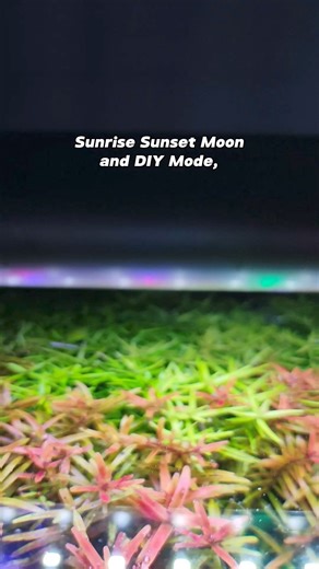 Illuminate your underwater paradise ✅ Vibrant Color Enhancement ✅ Energy Efficient LEDs ✅ Adjustable Brightness and Spectrum | Hygger Aquarium | Facebook