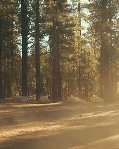 Escaping the noise 🍃 #701BeadGrip 🎥@voyagertacoma #MethodRaceWheels #MRW #Wheels #Offroad #LighterStrongerFaster #BeadGrip #BeadGripWheels | Method Race Wheels