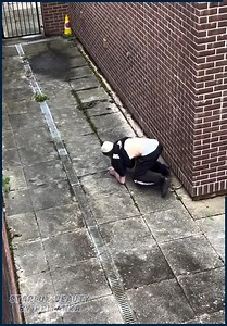 1.3K views | Starlux Beauty by Priyanka on Reels | Facebook