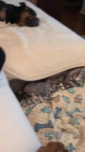 This what a Saturday night looks like at our house. 😴💤😴💤😴💤😴💤😴 | Spectacular Spencer