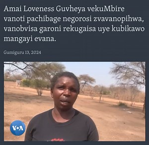 Amai Loveness Guvheya vekuMbire, Mashonaland Central vanoti nekushaya chibage vave kubika sadza regorosi (wheat) | VOA Shona