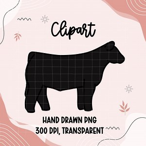 Show Cattle Clipart PNG | 4H Livestock Steer Illustration | Hand Drawn Show Cow | Fair Livestock PNG | 300 DPI Transparent Simmental - Etsy