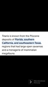 2.4K views · 53 reactions | Titanus often called bird of terror very unique and rare bird about to extinct source of information taken from Google.#bird#titanus#unique#endangered#facts#information#google#facebook#post#dira#saha# | Dira Saha | Facebook
