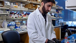 Isolation of Cardiomyocytes from Fixed Hearts for Immunocytochemistry and Ploidy Analysis