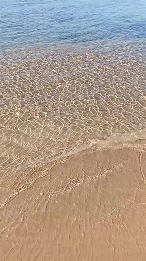 salvo russo su TikTok