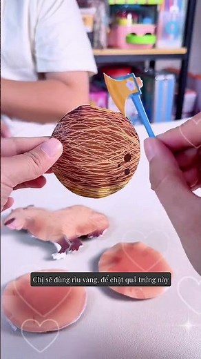 Baby capybara is born 🤩