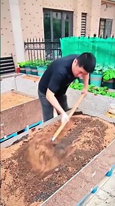 Building the Perfect Soil Mix: Organic Raised Garden Bed Prep for Celeriac #shorts #SoilPrep