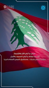 Solidarity First Insurance on Reels