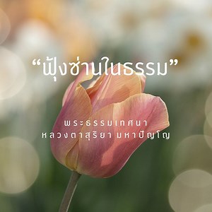 29K views · 2.1K reactions | นักเดินทางด้านใน Inside Explorer on Reels | Facebook