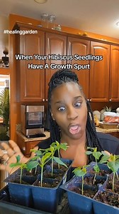 4.4K views · 111 reactions | Grow a Healing Garden in 2024. Imagine...
