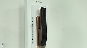 Liliwise Face Recognition Door Lock Fully Automatic Biometric Fingerprint Scanner Eye Scanner Smart Camera Door Lock