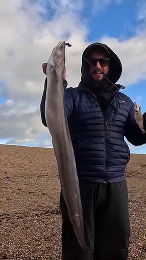 Fishing, eating & feeding a fox on Chesil beach 🔥🎥#theshorehunter #seafishing #seaangling #fishing | The Shore Hunter