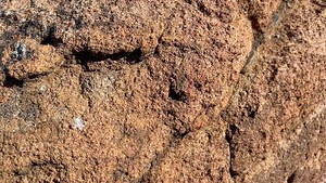 Who’s up for a proper mountain hunt? Klipspringer free range in many areas in the East Cape and hunting in these open mountains is a challenge second to none! These unique tiny antelope hunted on foot, in this terrain, will give you a tougher hunt than you can ever imagine. #mountainhunting #hunt #tinytenhunting #klipspringerhunting | John X Safaris