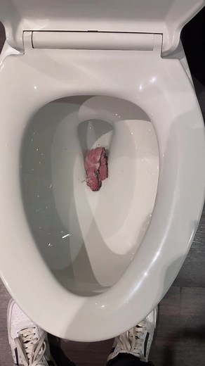 #meat #toilet #homemade