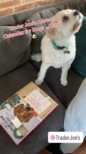 Taylor Grenda on TikTok