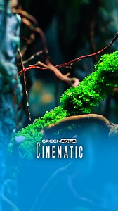 Welcome to Underwater Pandora!🌊⛰️ | Cinematic by Green Aqua #greenaqua #aquascaping #avatar #pandora #aquascape #plantedtank #plantedaquarium #aquaticplants #amazingnature #inspiration #passion #aquariumplants #aquariumsdaily #interiordesign #aquadesignamano #adahungary #instagood #aquarium #aquariumphotography #aquariumsofinstagram #aquariumlife #aquariums #aquariumhobby #natureaquarium #freshwateraquarium #aquariumfish #aquariumgallery | Green Aqua