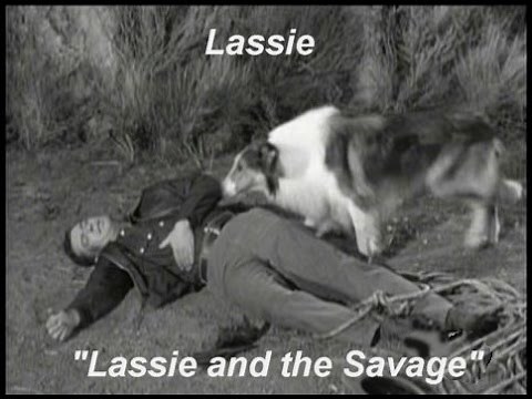Lassie - Episode #351- "Lassie and the Savage" - Season 10, Ep. 28 - 04/26/1964