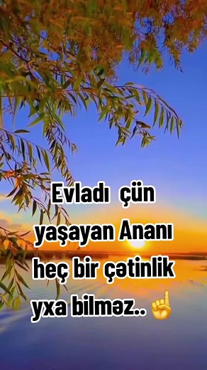 Peaceful Nature Scene at Sunrise or Sunset