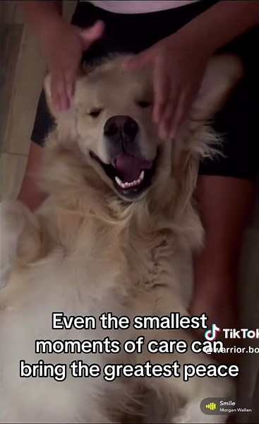 Warrior Box on TikTok